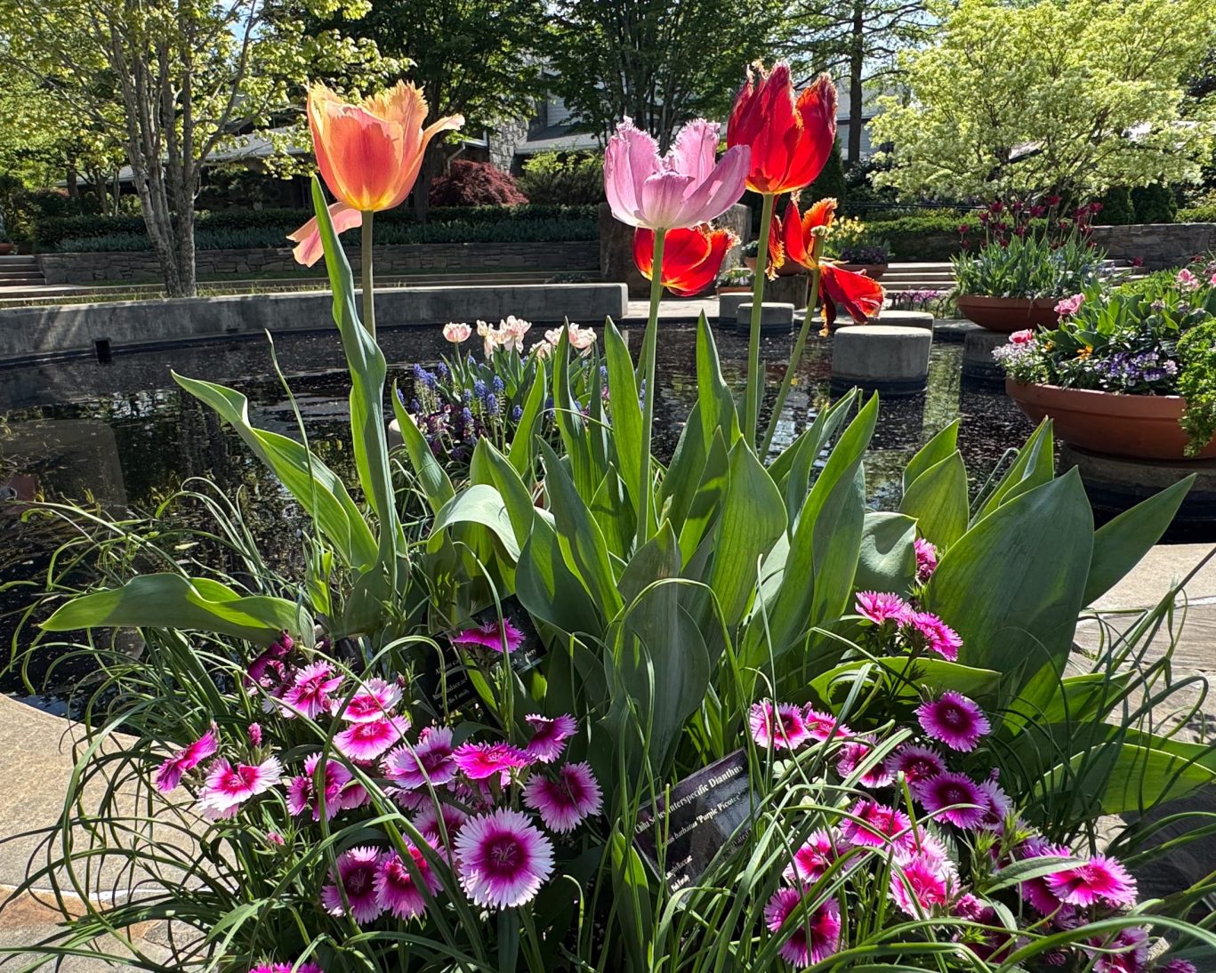 Longview Arboretum Texas.