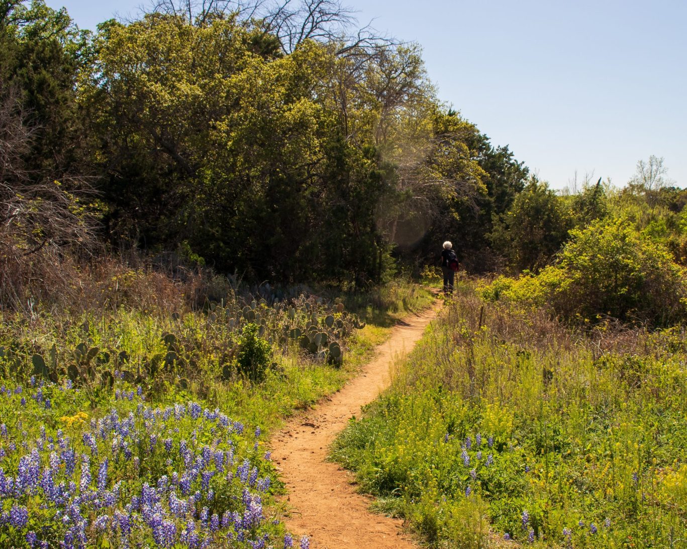 Northeast Texas Trail.