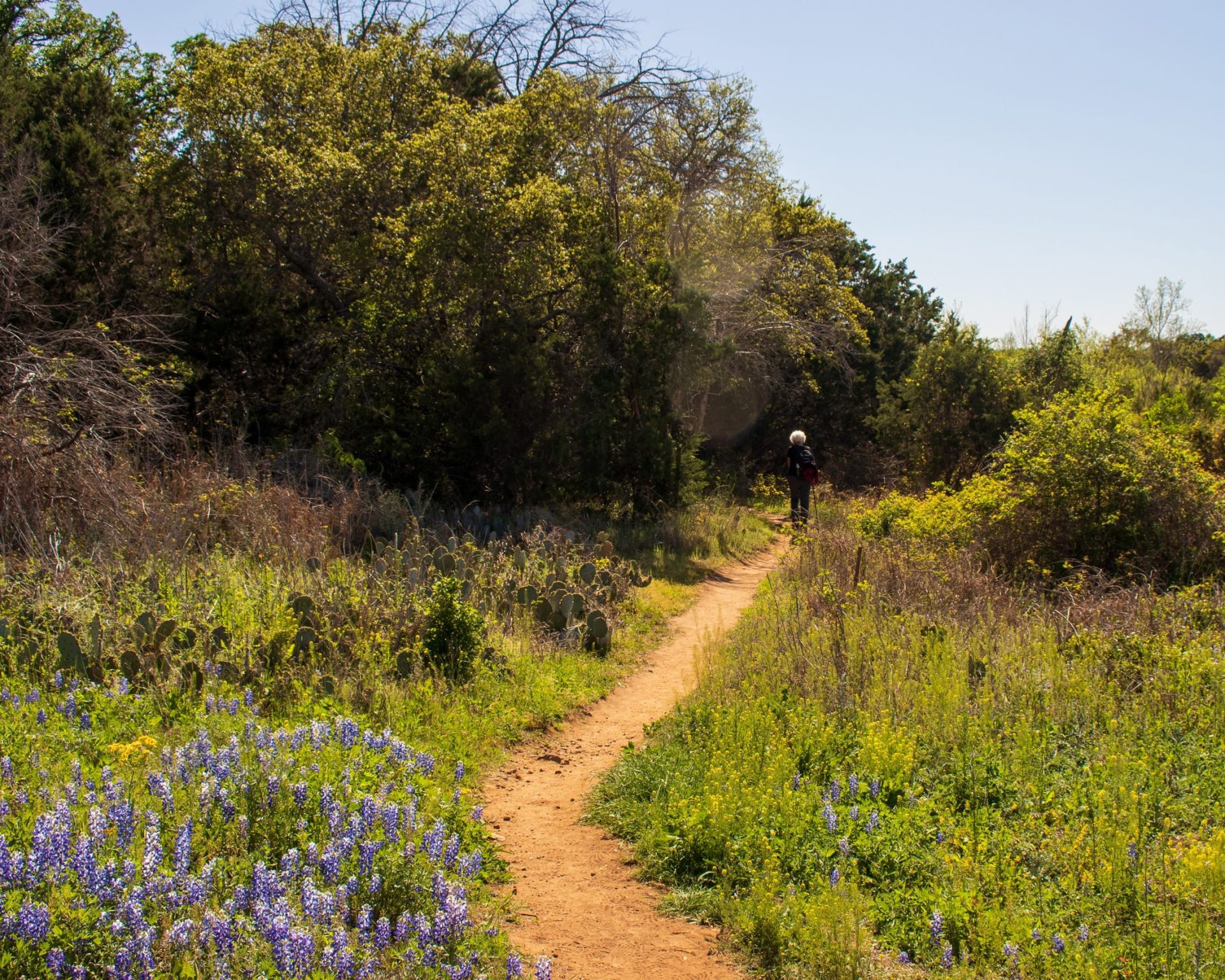 Northeast Texas Trail.