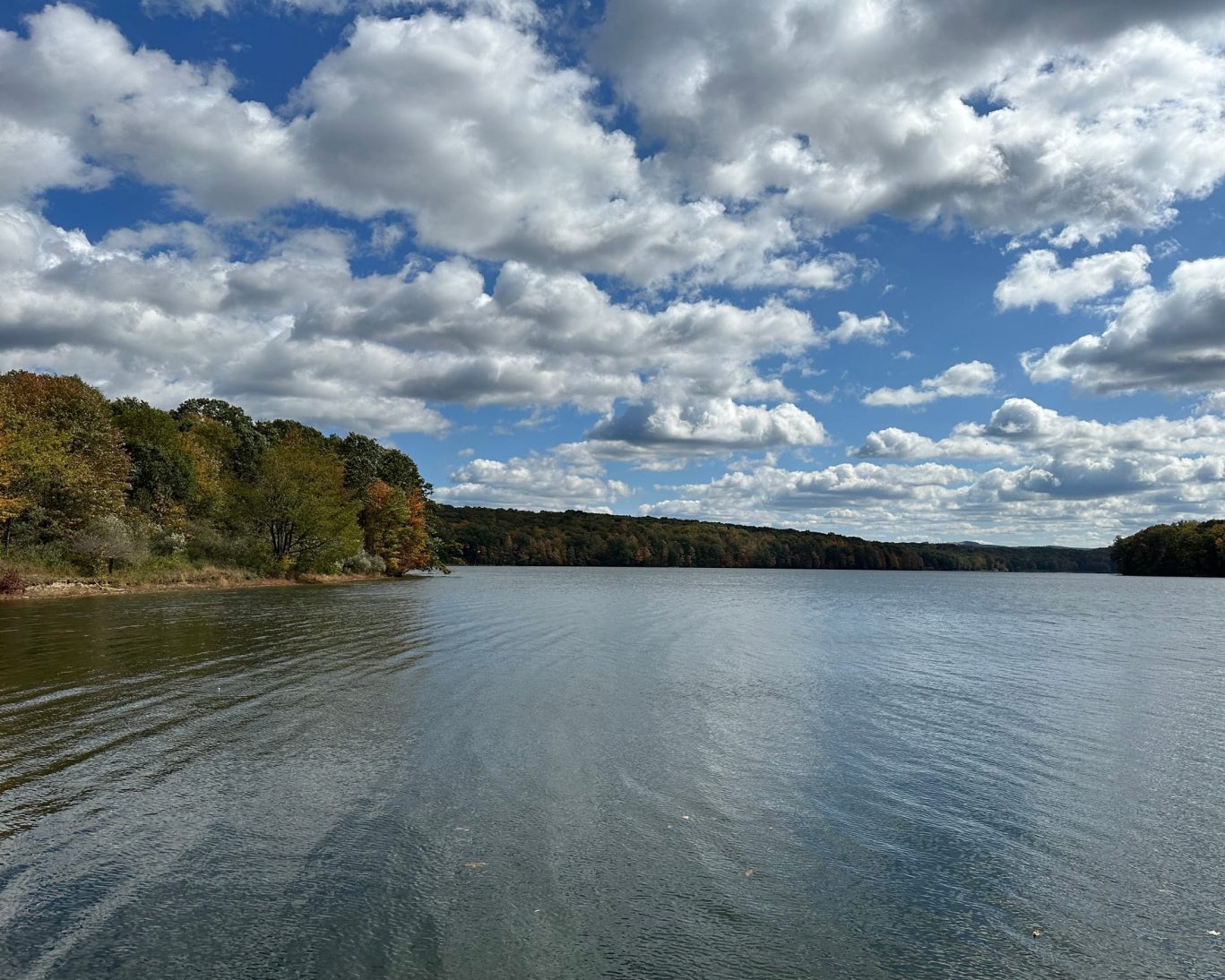 Black Moshannon State Park.