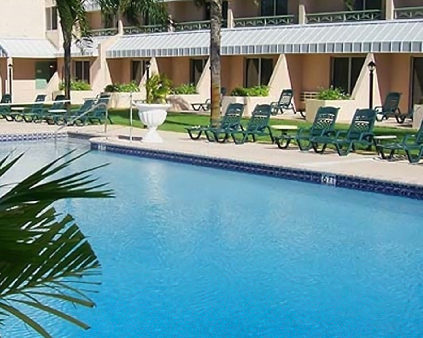 Outdoor pool with lounge chairs and palm trees at Castaways Resort.