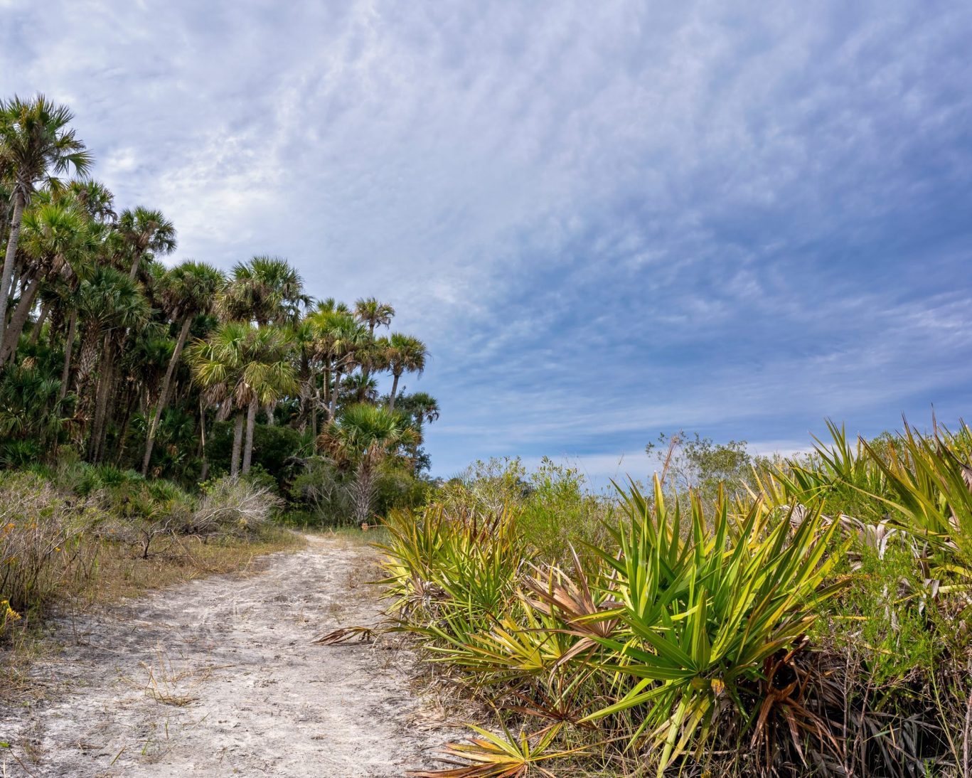 Kissimmee Prairie Preserve.