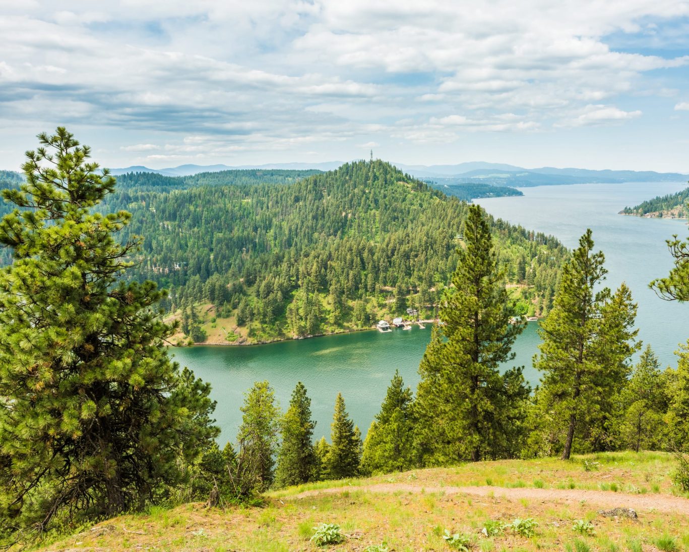 Scenic hiking trail overlooking Lake Coeur d'Alene surrounded by lush green forest.