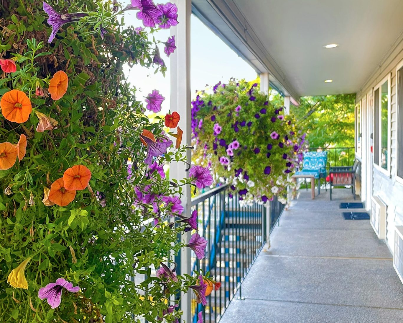Flower-filled upper-level corridor at Resort City Inn with patio chairs and hanging baskets.