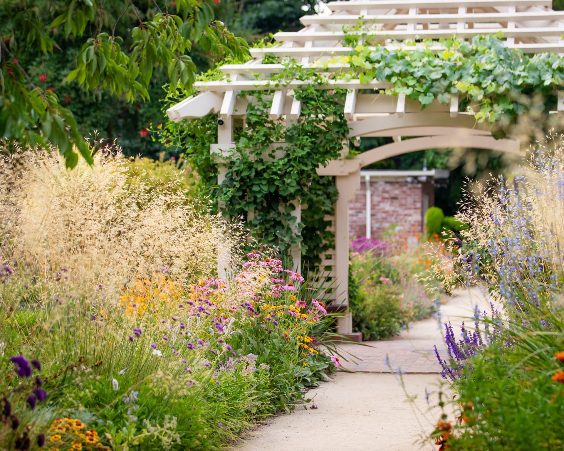 Colorful flower path and pergola at Gamble Garden in Palo Alto, California.