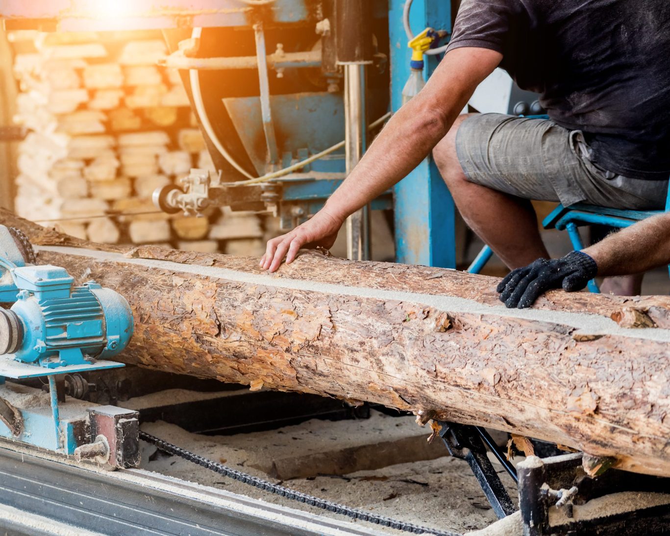 Worker operating sawmill equipment to cut timber logs in a forest products processing facility.