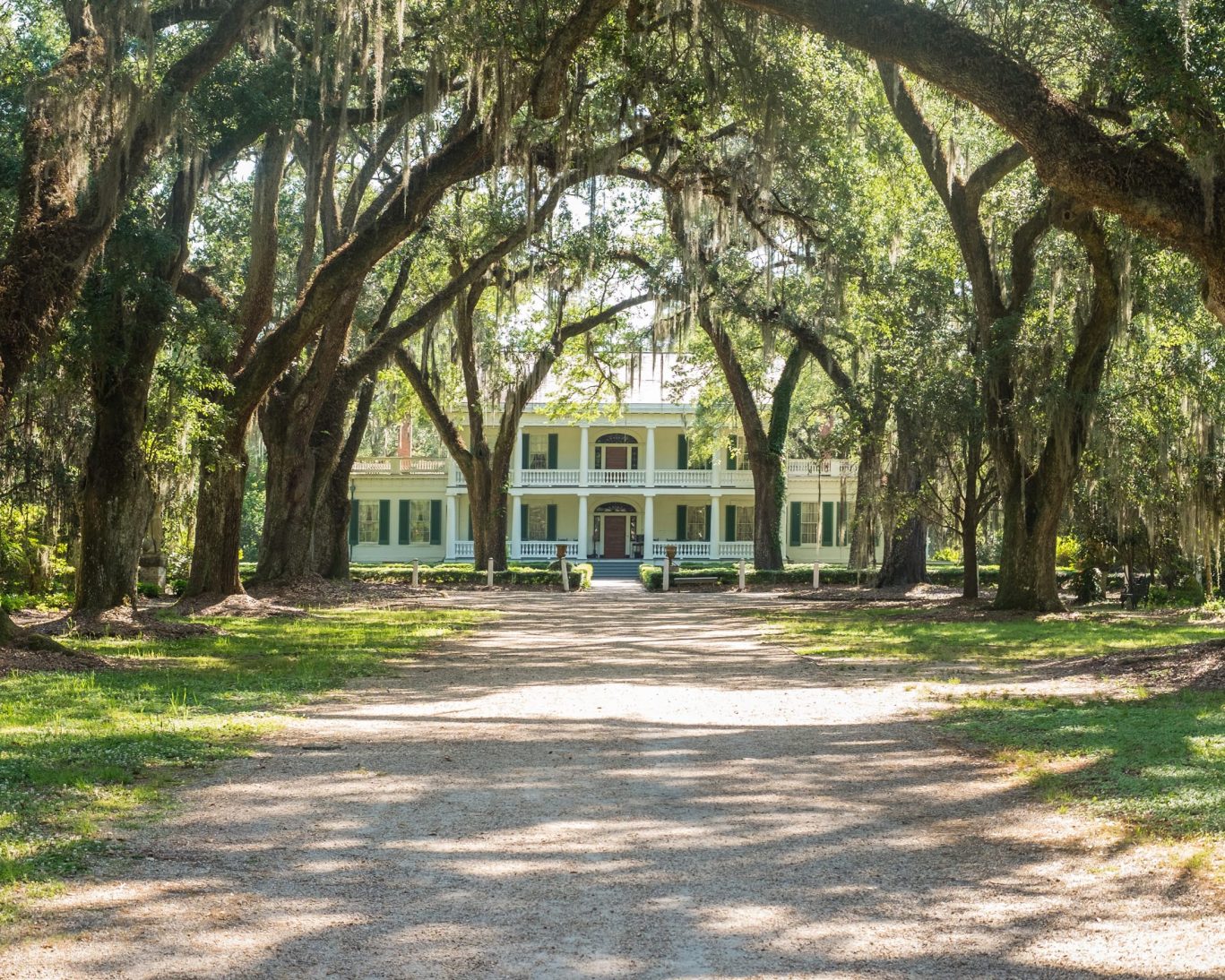 Majestic oak-lined entrance leading to the historic Rosedown Plantation home in St. Francisville, Louisiana.
