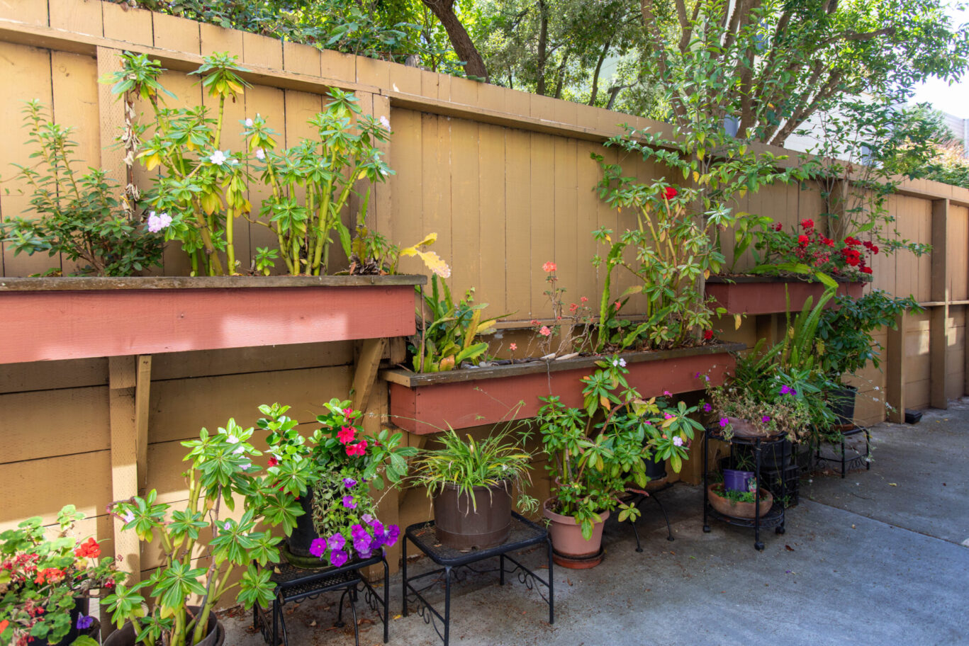 Hotel garden area