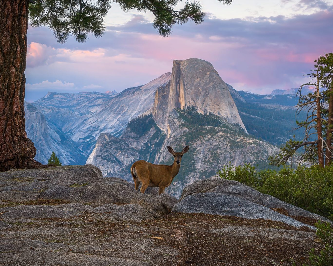 Yosemite National Park.