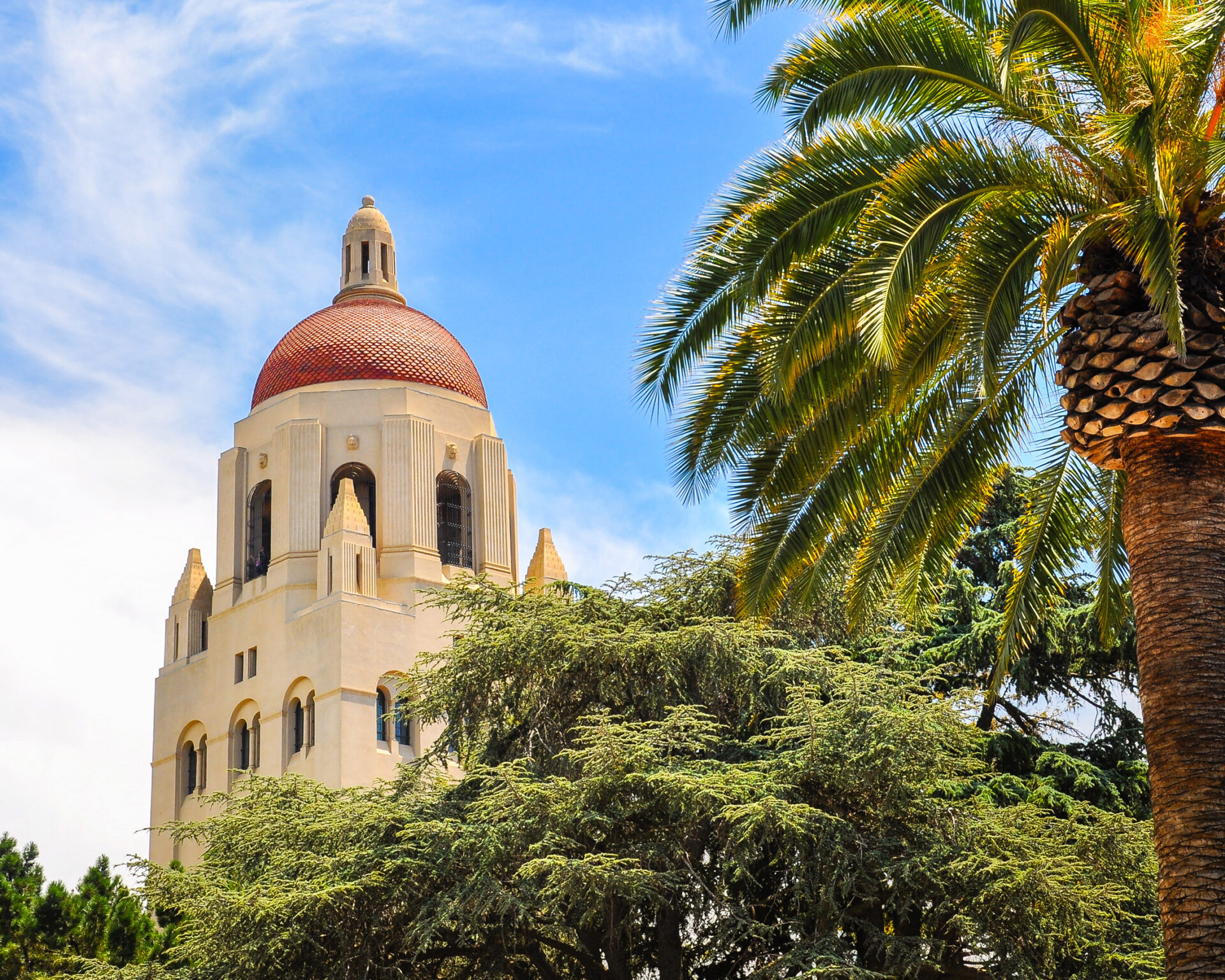 Hoover Tower rising above palm trees at Stanford University, California
