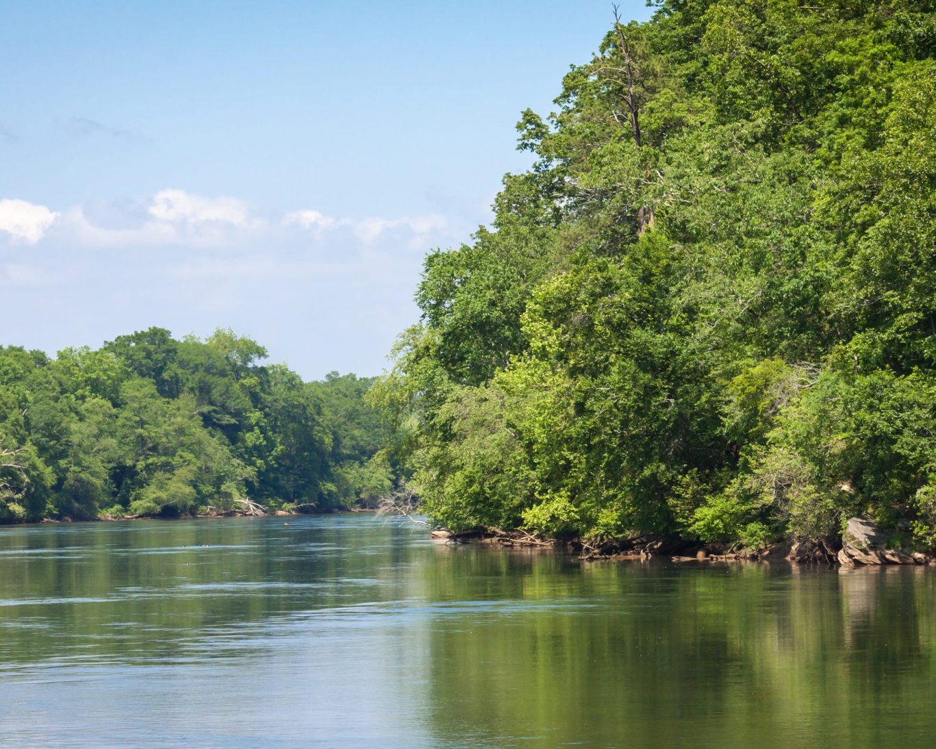 Peaceful river surrounded by forest along a Georgia waterway near Fitzgerald