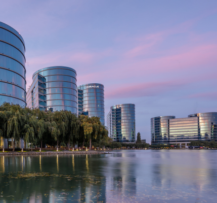 silicon valley landscape